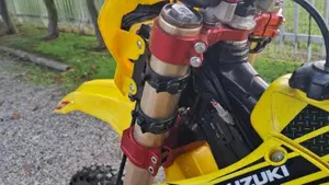 Suzuki RM 250 (2005 - 06)  (7)