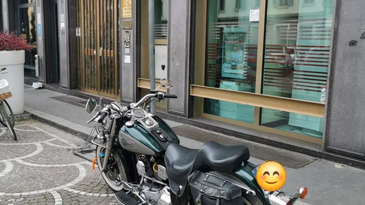 Harley-Davidson 1340 Heritage Special (1993 - 96)  (2)