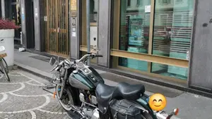 Harley-Davidson 1340 Heritage Special (1993 - 96)  (2)