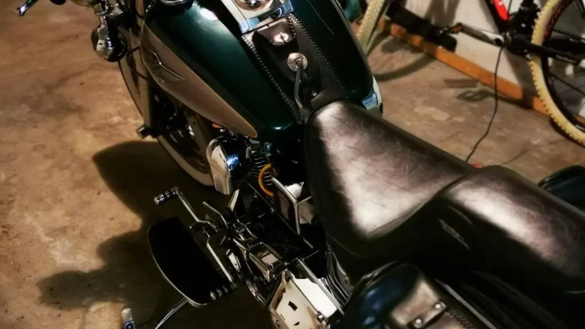 Harley-Davidson 1340 Heritage Special (1993 - 96)  (3)