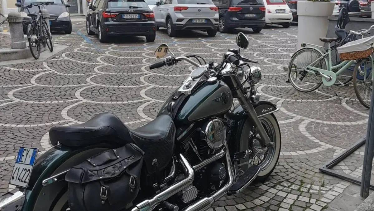 Harley-Davidson 1340 Heritage Special (1993 - 96)  (4)