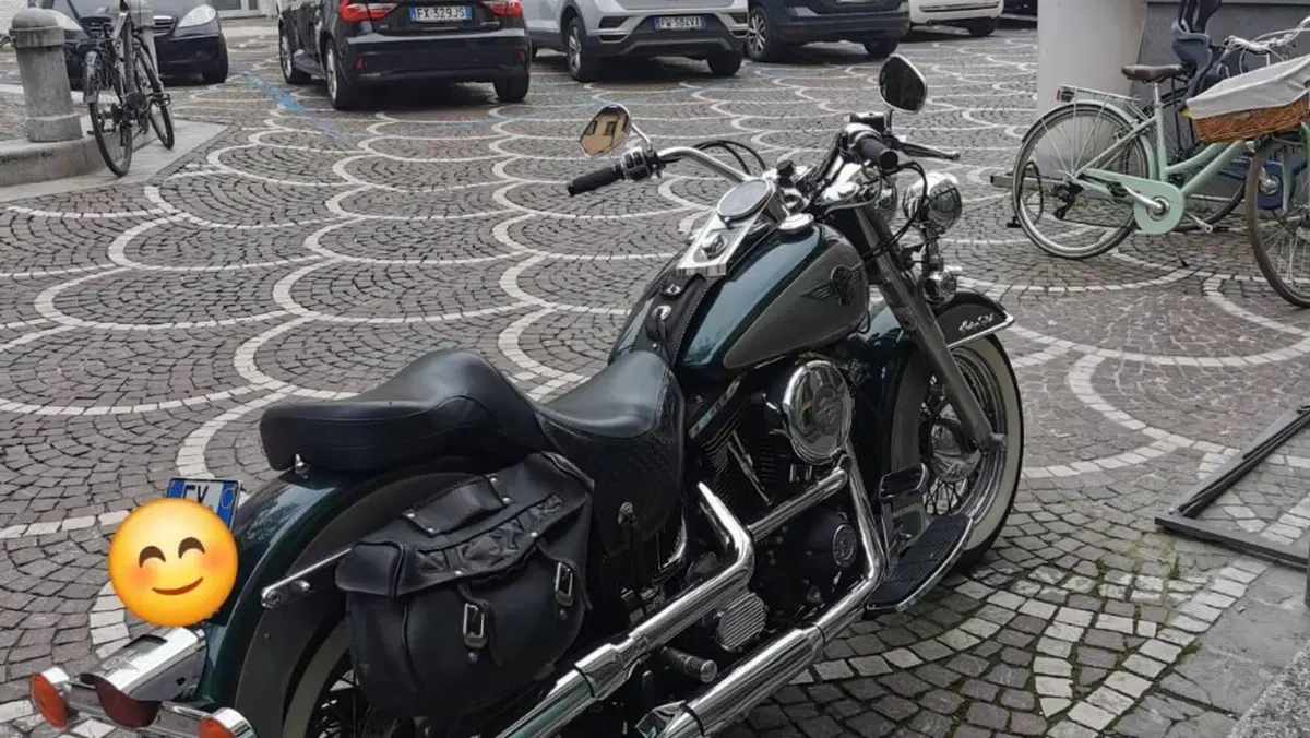 Harley-Davidson 1340 Heritage Special (1993 - 96)  (5)
