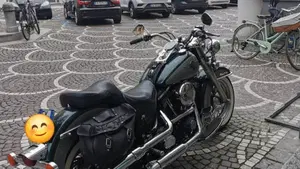 Harley-Davidson 1340 Heritage Special (1993 - 96)  (5)
