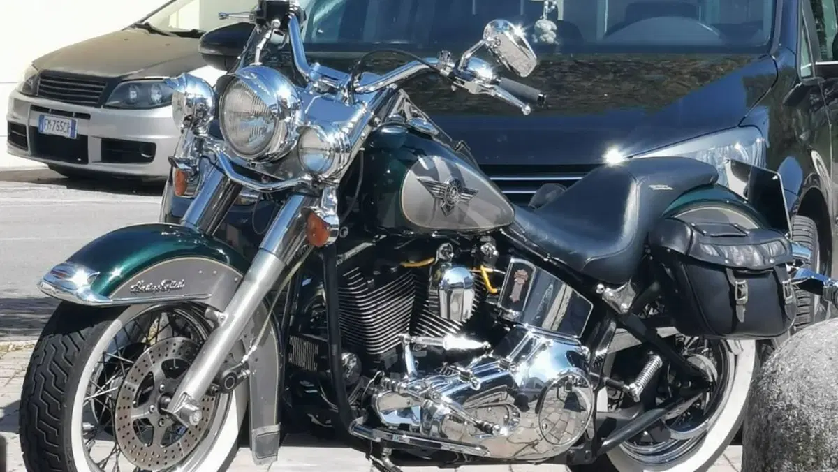 Harley-Davidson 1340 Heritage Special (1993 - 96)  (14)