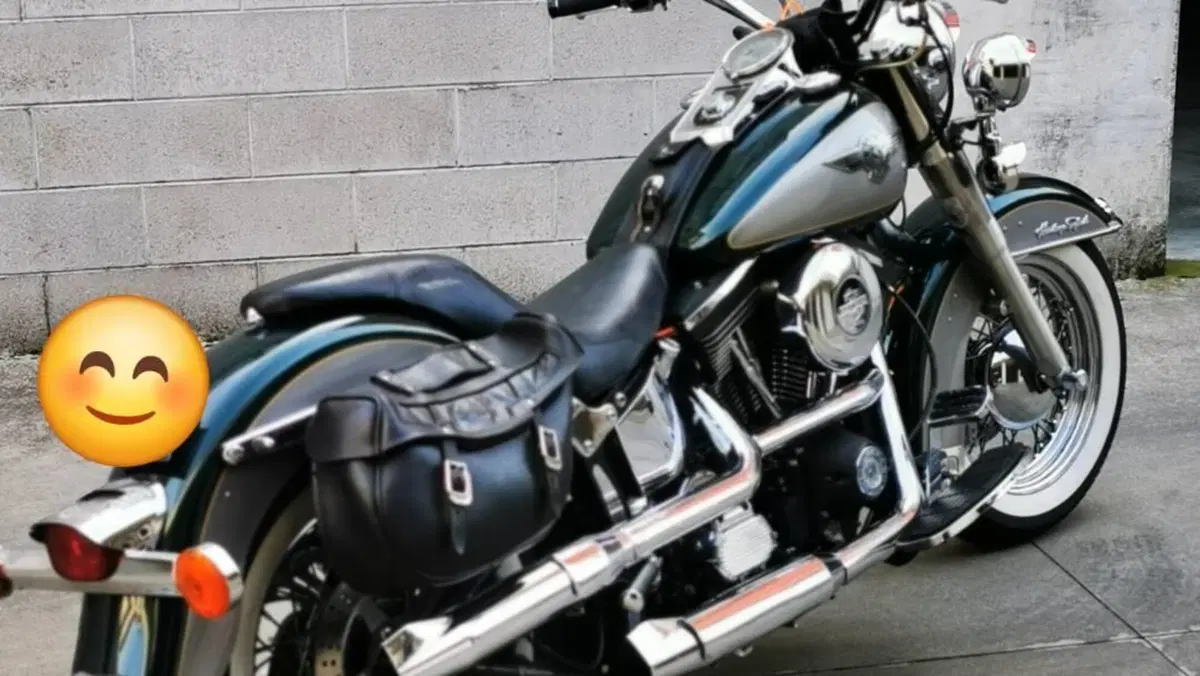 Harley-Davidson 1340 Heritage Special (1993 - 96)  (15)