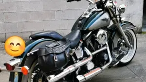 Harley-Davidson 1340 Heritage Special (1993 - 96)  (15)