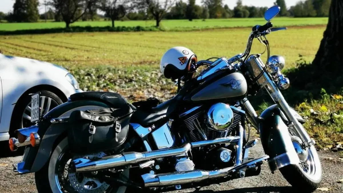Harley-Davidson 1340 Heritage Special (1993 - 96)  (17)