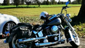 Harley-Davidson 1340 Heritage Special (1993 - 96)  (17)