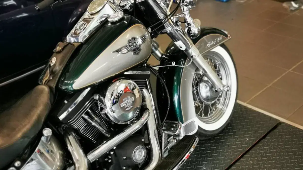 Harley-Davidson 1340 Heritage Special (1993 - 96)  (18)