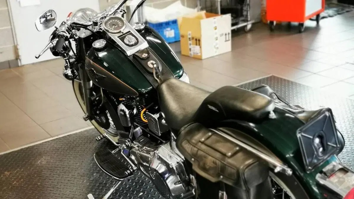Harley-Davidson 1340 Heritage Special (1993 - 96)  (19)