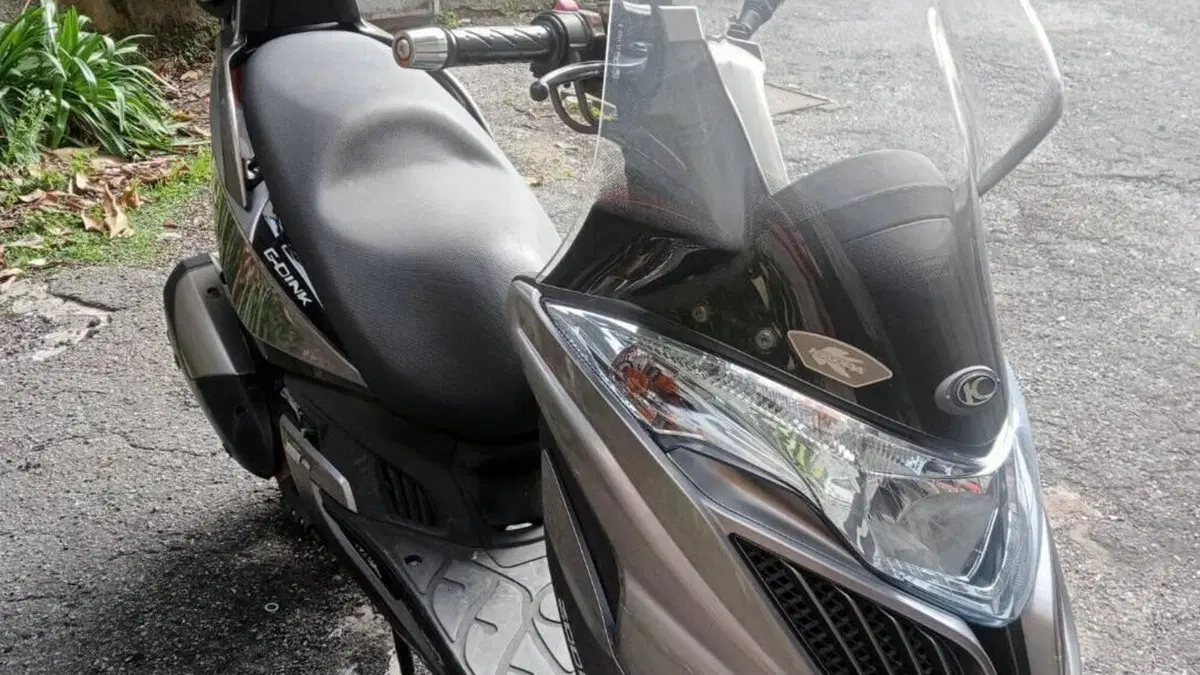 Kymco G-Dink 300i (2011 - 17)  (4)