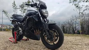 Yamaha FZ6 S2 (2007 - 11)  (8)