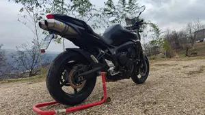 Yamaha FZ6 S2 (2007 - 11)  (9)