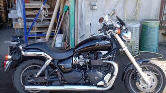 Triumph Speedmaster 865 (2005 - 10)