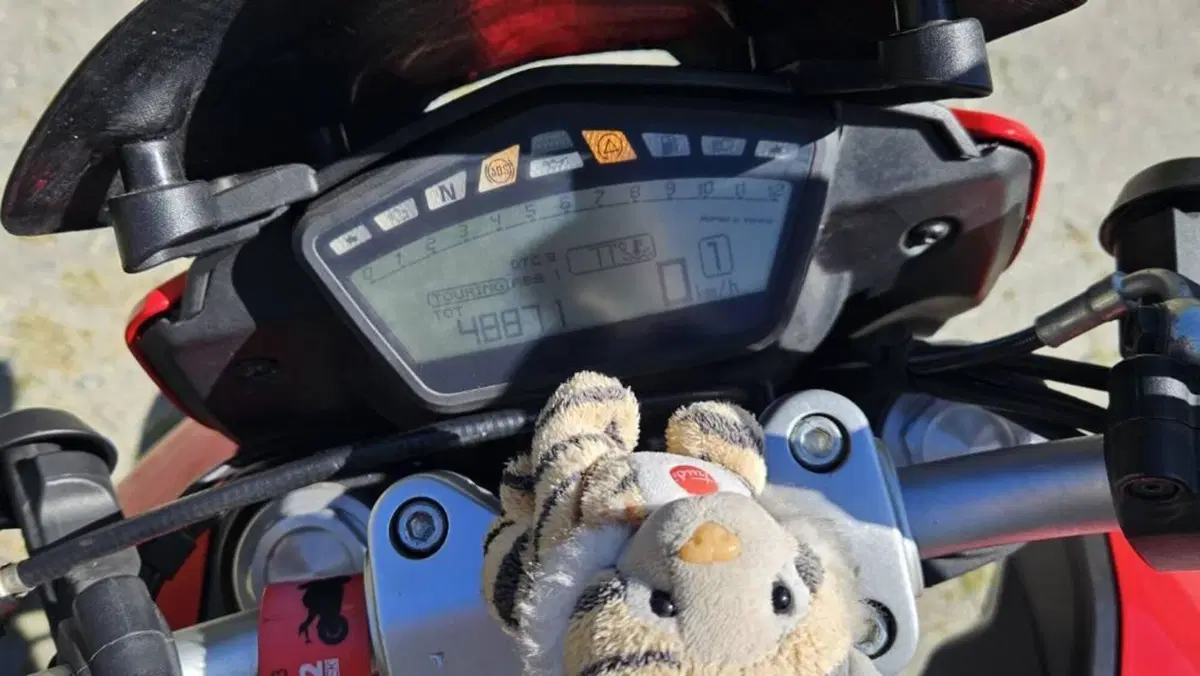 Ducati Hypermotard 939 (2016 - 18)  (5)