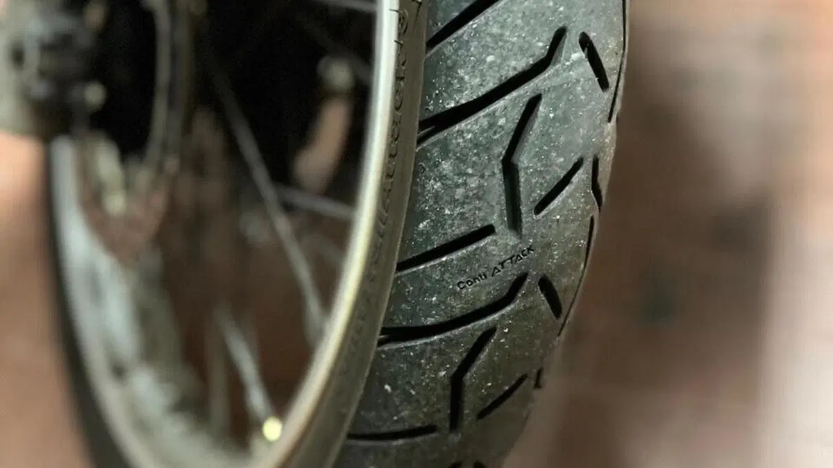 Honda Transalp XL 650V (2000 - 04)  (5)