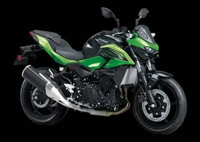 Kawasaki Z 500 (2024 - 26) - Annuncio 9949613