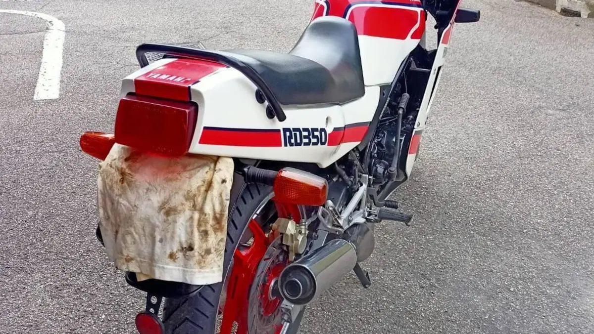 Yamaha   (6)