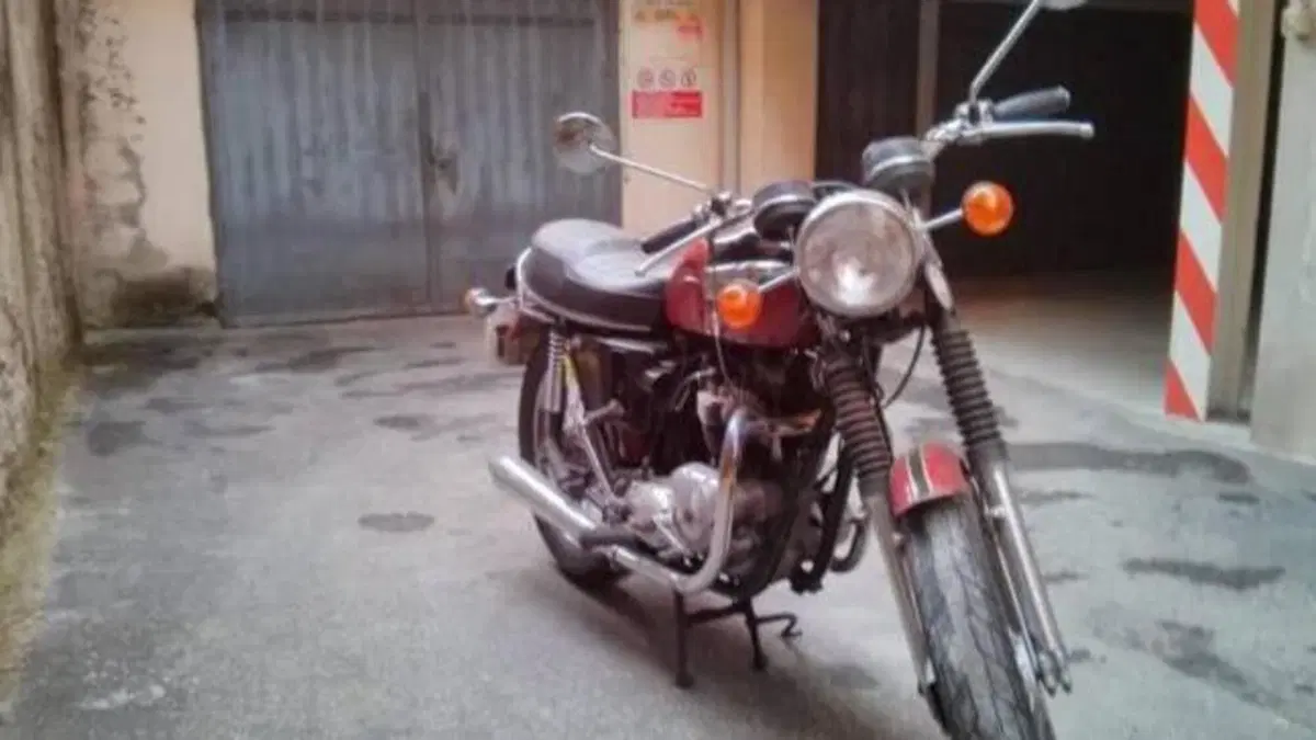 Triumph   (3)