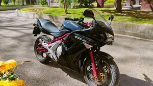 Kawasaki ER-6F (2006 - 08) 