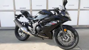 Kawasaki Ninja 125 (2025 - 26)  (3)