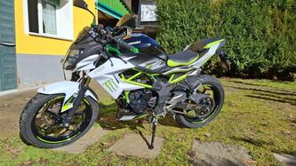 Kawasaki Z 125 (2019 - 20)