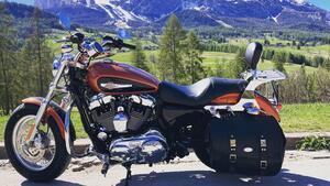 Harley-Davidson 1200 Custom (2007 - 13) - XL 1200C 