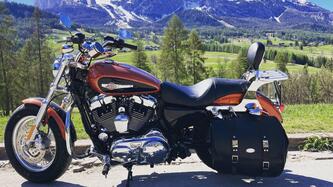 Harley-Davidson 1200 Custom (2007 - 13) - XL 1200C