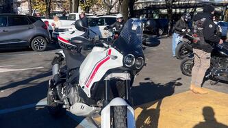 Ducati DesertX (2022 - 25)