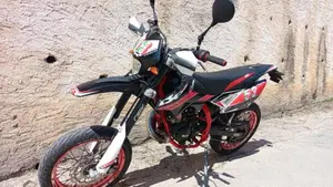 Betamotor RR 50 Motard Track (2013 - 18)  (4)