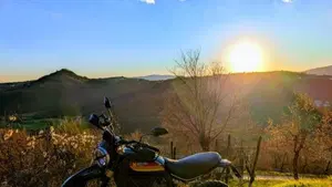 Ducati Scrambler 800 Desert Sled (2017 - 20) 