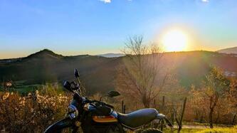 Ducati Scrambler 800 Desert Sled (2017 - 20) usata