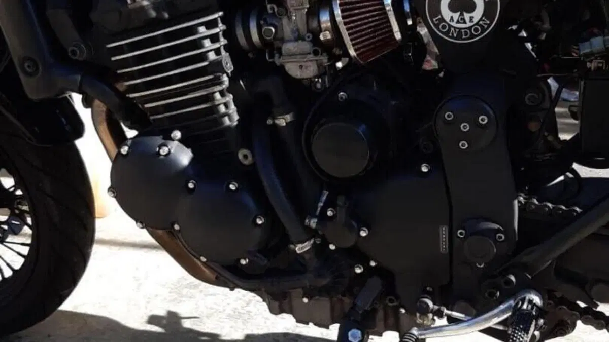 Triumph Thunderbird 900 Sport (2003 - 04)  (5)