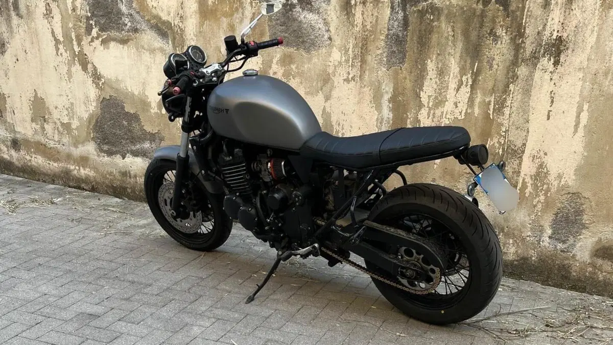 Triumph Thunderbird 900 Sport (2003 - 04)  (7)