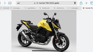 Honda CB 750 Hornet (2023 - 24) 