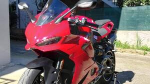 Ducati Panigale V2 (2025 - 26) 
