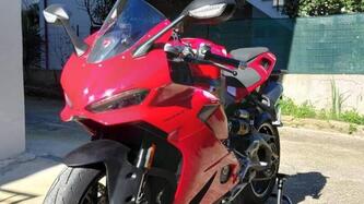 Ducati Panigale V2 (2025 - 26) usata