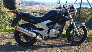 Yamaha YBR 250 (2006 - 13) 