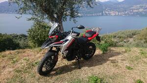 Benelli TRK 702 (2023 - 25) 