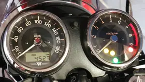Kawasaki W 800 (2021 - 26)  (5)