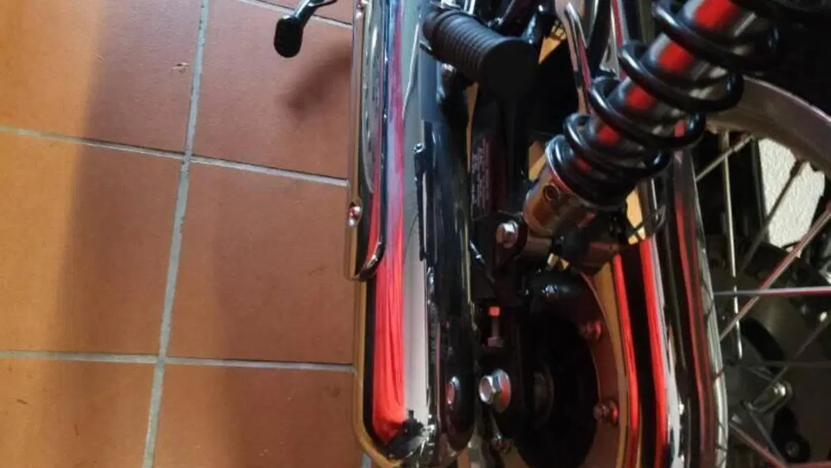 Kawasaki W 800 (2021 - 26)  (6)