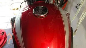 Kawasaki W 800 (2021 - 26)  (7)