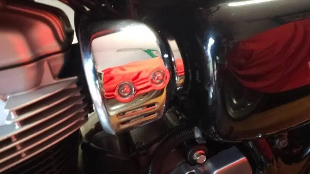 Kawasaki W 800 (2021 - 26)  (10)