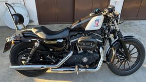 Harley-Davidson 883 Iron (2012 - 14) - XL 883N 