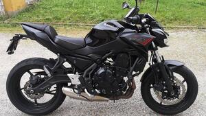 Kawasaki Z 650 Performance (2021 - 24) 