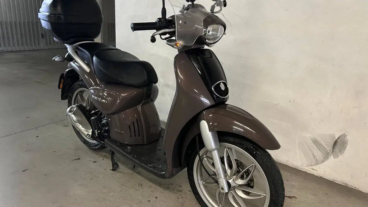 Aprilia Scarabeo 50 4t 4V (2009 - 17)  (4)