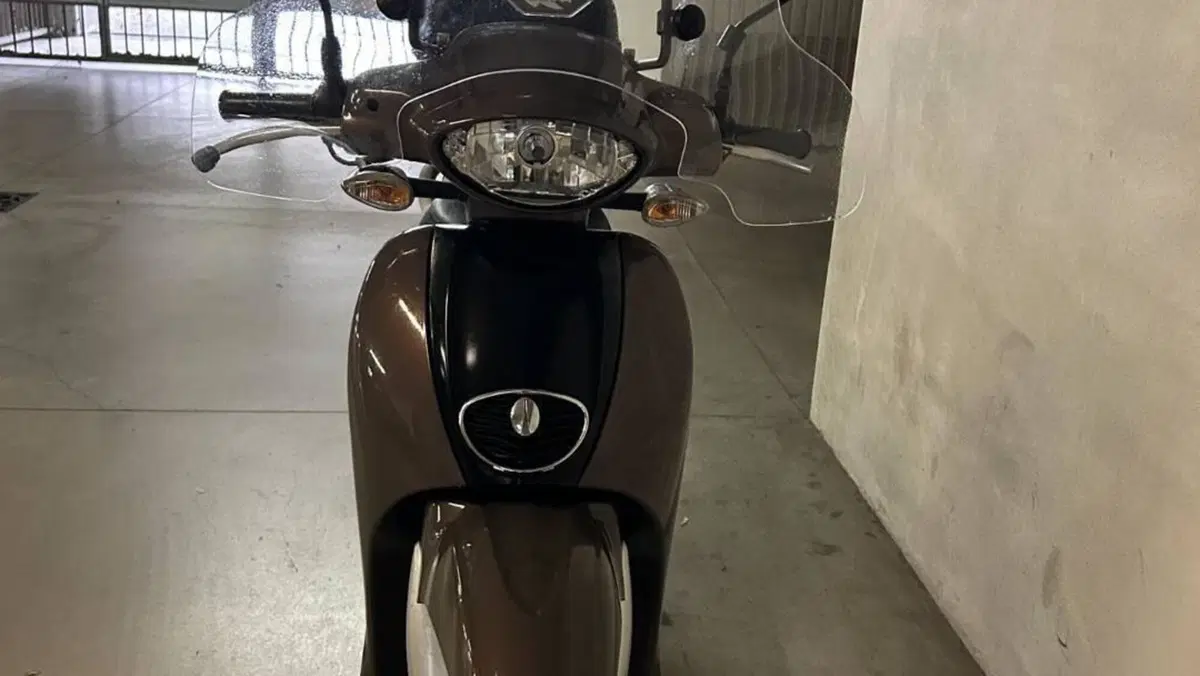 Aprilia Scarabeo 50 4t 4V (2009 - 17)  (7)