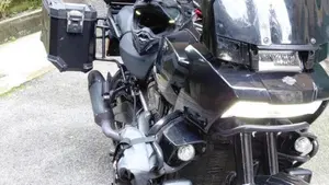 Harley-Davidson Pan America 1250 Special (2020 - 25)  (2)