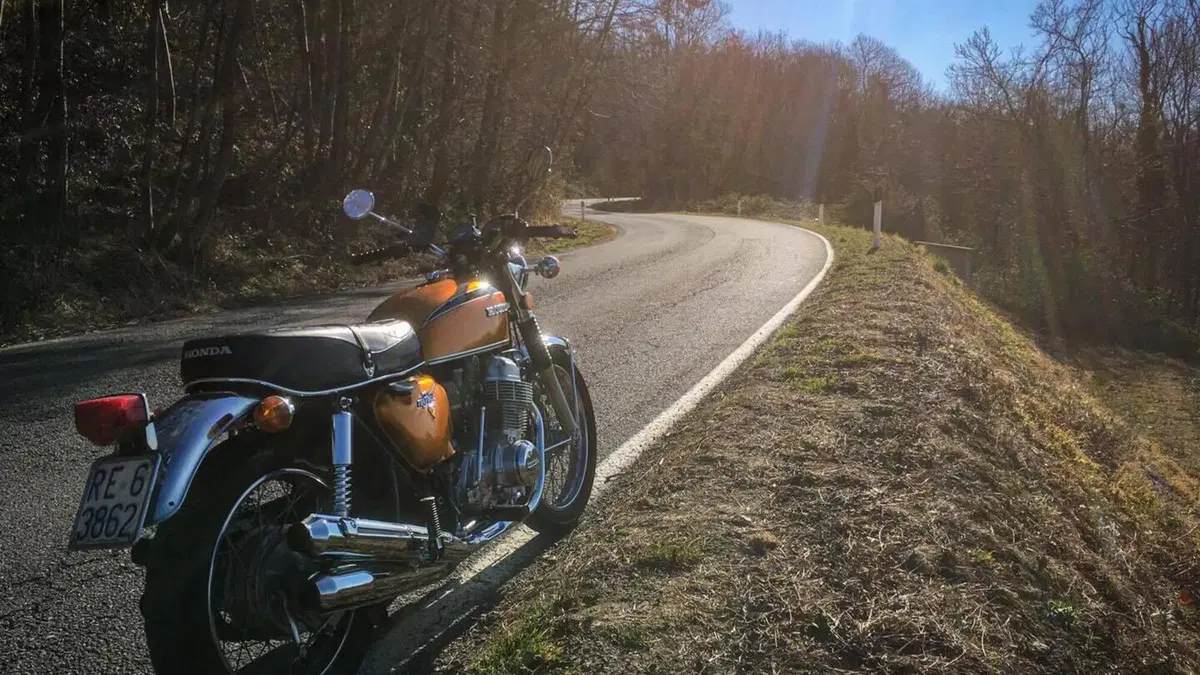 Honda   (10)