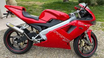 Cagiva Mito SP 525 (2007 - 15) usata